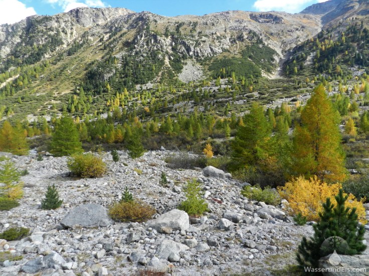 Herbst Gletschervorfeld Schweiz