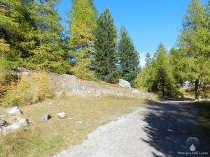 Endmoräne Kleine Eiszeit Morteratschgletscher