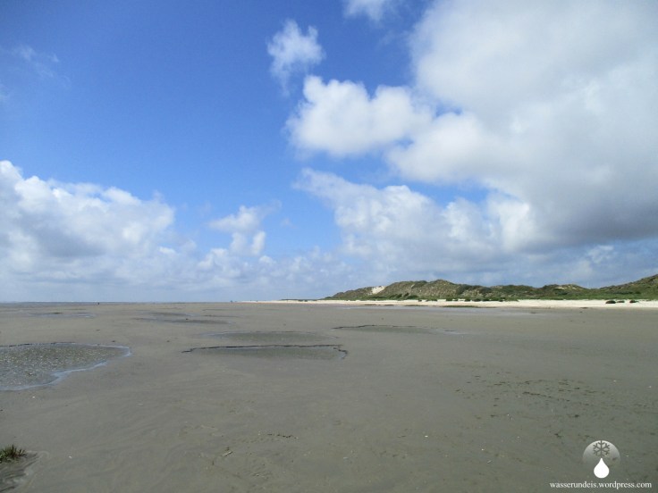 Galge Rev Fanø Wadd