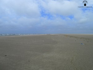 Plastik Dänemark Strand