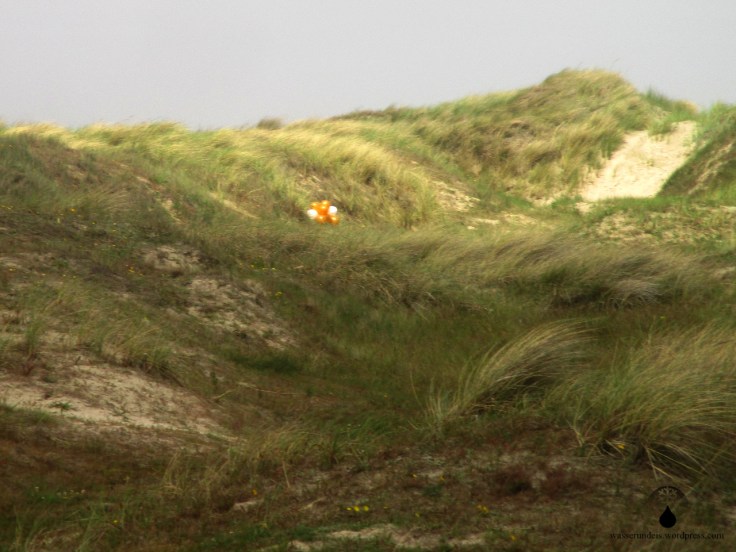 Luftballons Plastik Müll