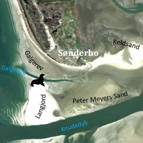 Der Süden der Insel Fanø in Dänemark.