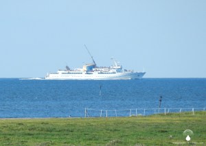 #MS Helgoland