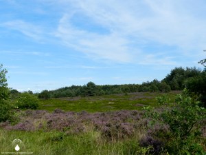 Wandern Cuxhavener Küstenheide