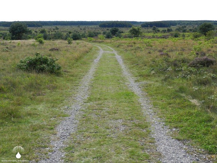Cuxhavener Küstenheiden Landschaft