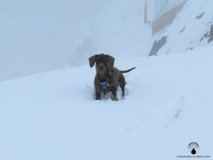 Schoko im Schnee.