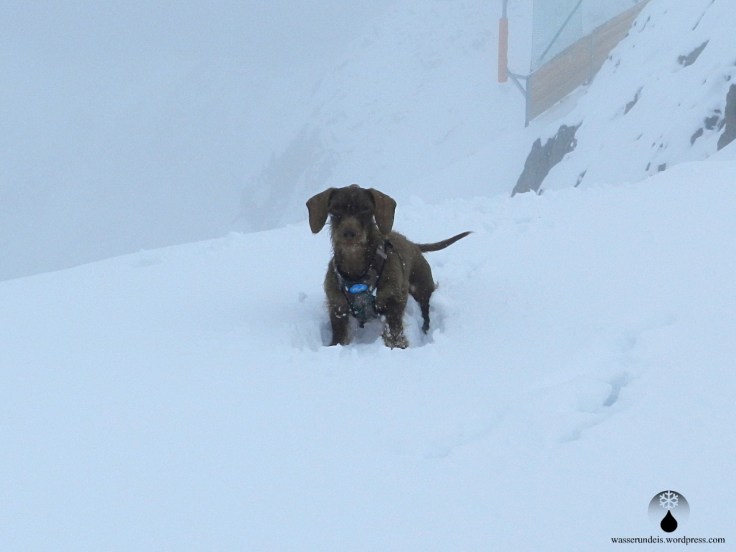 Schoko im Schnee.