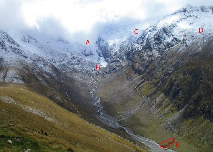 #Rückgang des Rotmoosferners