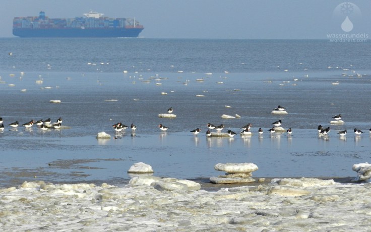 Eisschollen auf der Nordsee.