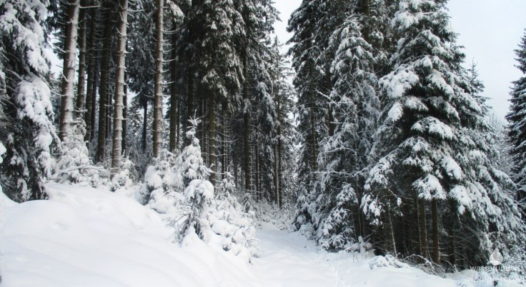 2017-12_LandalWinterberg00