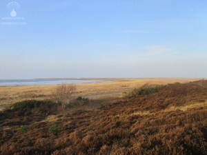 Geest Kliff Duhner Heide Wattenmeer
