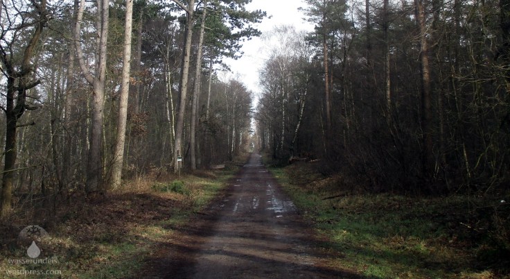 Wernerwald Arensch Cuxhaven