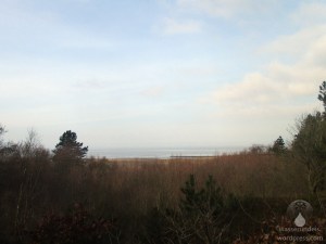 Witte Kliff Werner Wald Albertsee