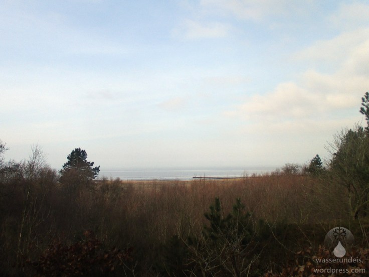 Witte Kliff Werner Wald Albertsee