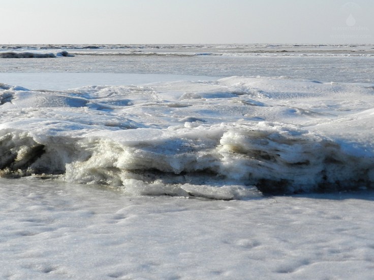 Eis Nordsee gefroren