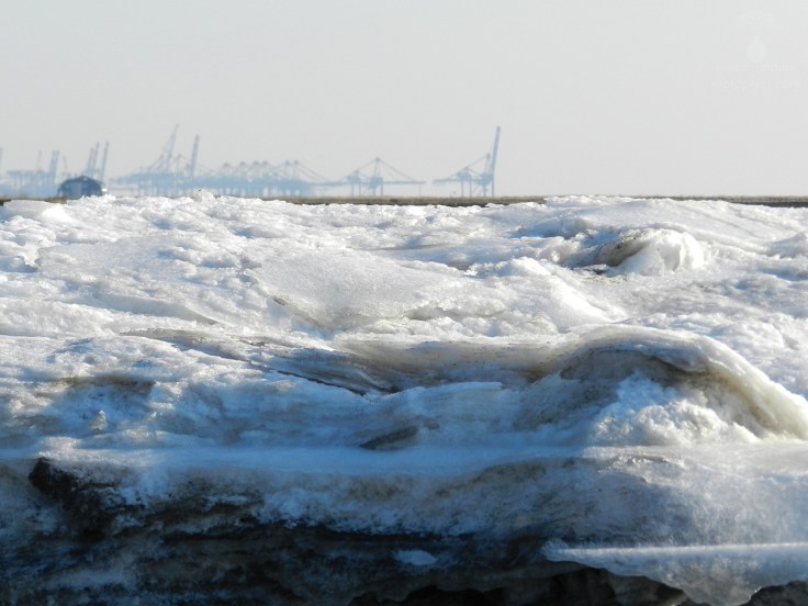 Containerbrücken Eis Bremerhaven