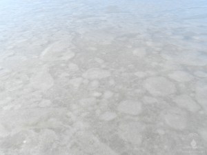 Eisscholle Nordsee