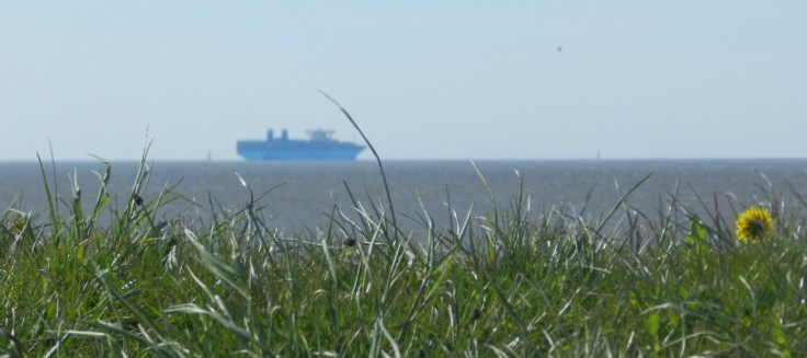 Außenweser_Deich_Wremen