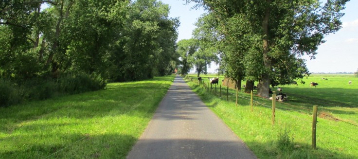 Weserinsel_Harriersand