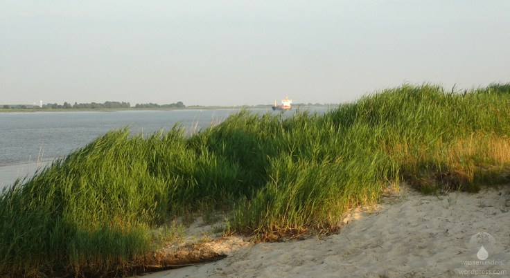 Schiffsverkehr auf der Unterweser bei Kleinensiel.