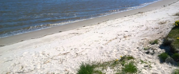 Sandstrand an der Unterweser bei Kleinensiel in Stadtland.