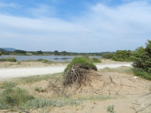 2018-05-02_Korfu_Korission_Lagune