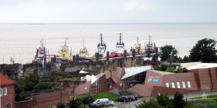 Der Zoo in Bremerhaven liegt direkt an der Außenweser, der Nordsee, am Meer.
