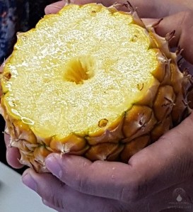 2017-07-24_Ananas-selbst_gezogen_essen