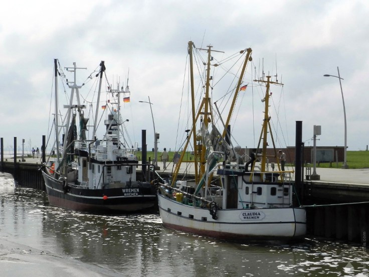 Krabbenkutter Wremen Hafen