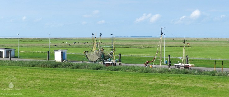 #Krabbenkutter Spieka-Neufeld