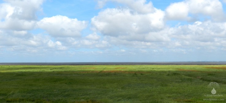 #Vorland Langwarder Groden