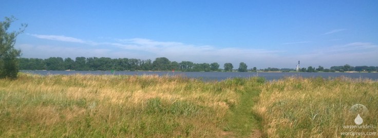 #Käseburg Weser Harriersand