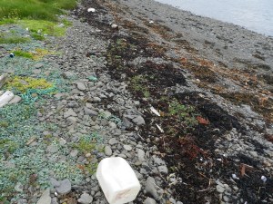 Plastikmüll Island
