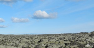 Lavafeld Reykjanes Grindavik