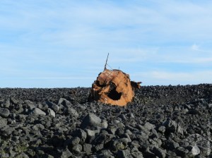 Sveinbjarnar Hopsness Grindavik Wrack