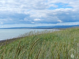 Hafnarskeið Strand Island Reykjanes Küste