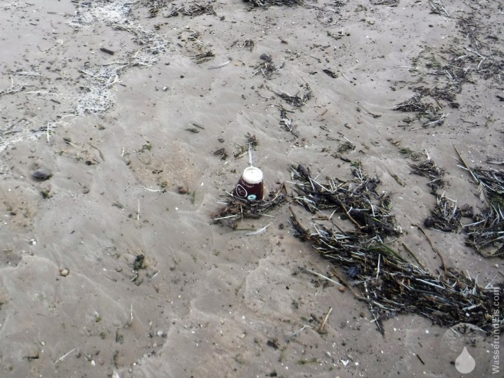 Coffe to go Plastikmüll Nordsee