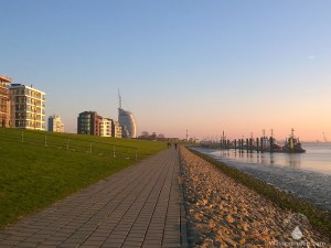 Goldene Stunde am Lohmanndeich.