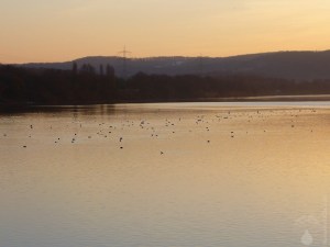 Kemnader See Bochum Witten