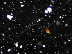 Skisprungschanze Winterberg