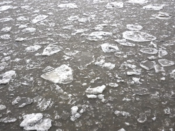 Eisschollen Bremerhaven Nordsee Geeste