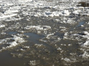 Treibeis Geeste Bremerhaven