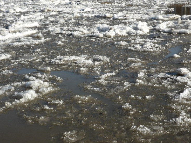 Treibeis Geeste Bremerhaven