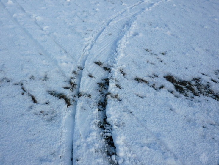 Freeriden an der Nordsee