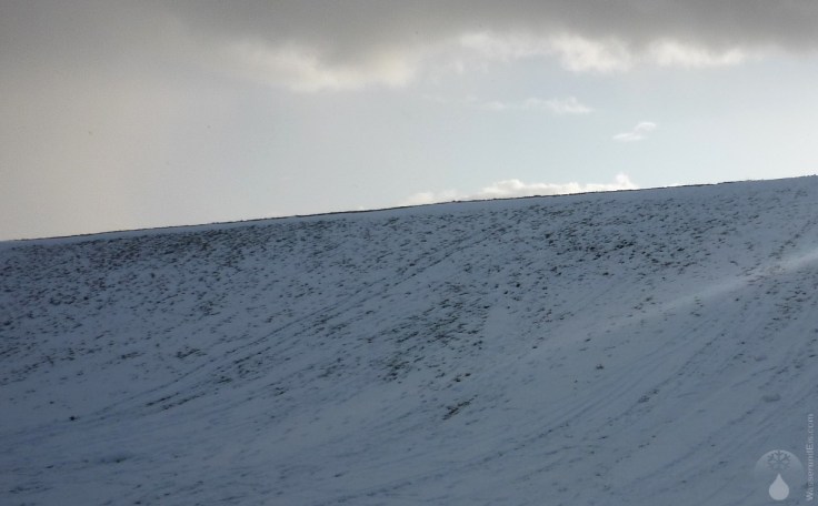 Schnee Deich Ochsenturm
