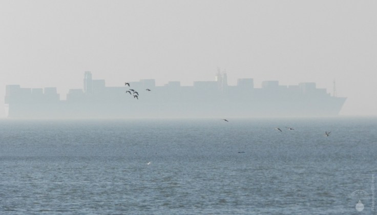 Frachtschiff Containerschiff Außenweser Bremerhaven