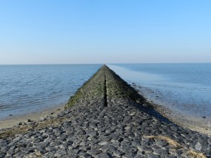 Buhne Nordsee Wattenmeer
