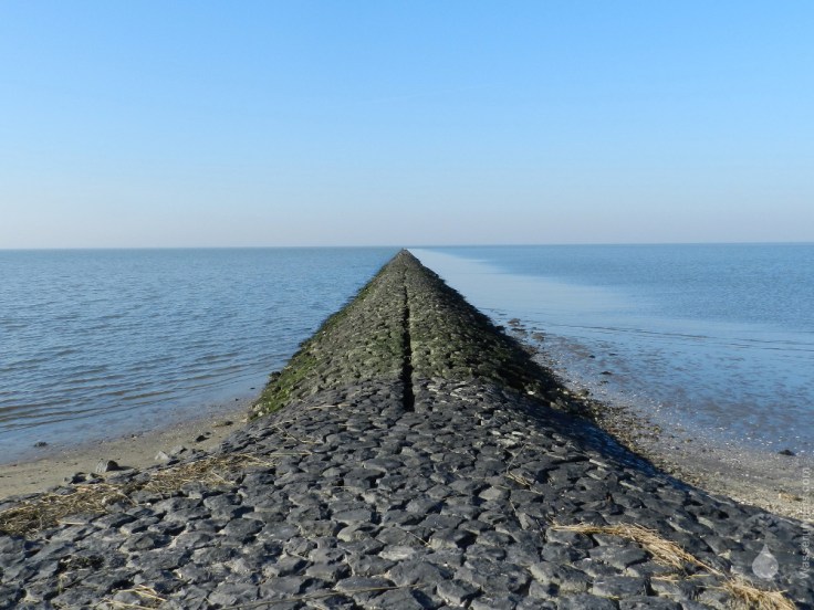 Buhne Nordsee Wattenmeer