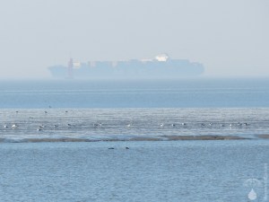 Frachter Containerschiff MSC Weser