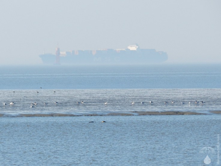 Frachter Containerschiff MSC Weser